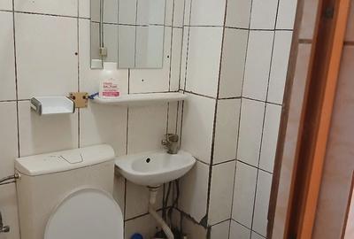 Garsonieră semidecomandată în Valea Rosie - 2