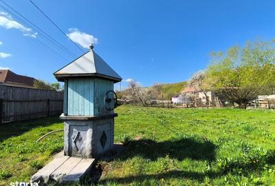 Casă cu 3 camere cu Teren 3200 Mp în Meseșenii de Jos - 8