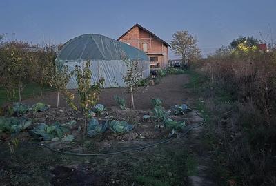 Casă cu Teren 1300 Mp în Varlaam - 2