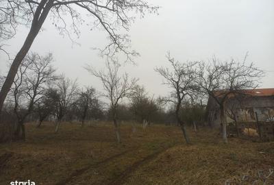 Teren de 3100 mp, în Berislăvești - 4