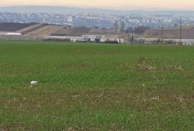 Teren agricol intravilan în Periferie - 10