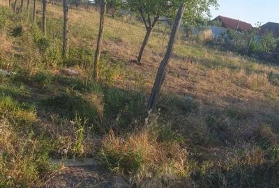 Teren de 405 mp, în Bucovăț