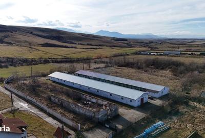 Spațiu comercial, în Teliu - 12
