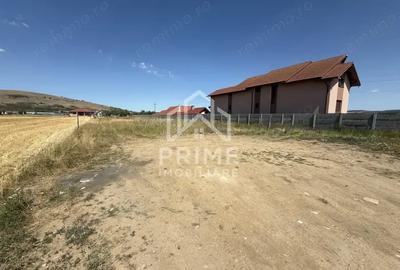Teren de 2310 mp, în Bărăbanț - 1