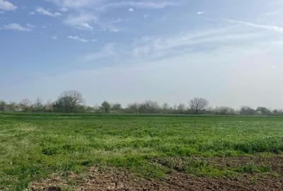 Teren Construcții intravilan de 4000 mp, în Adunații-Copăceni - 2