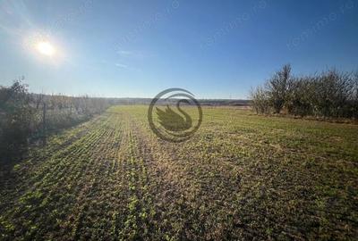 Teren de 12650 mp, în Ghirdoveni - 3
