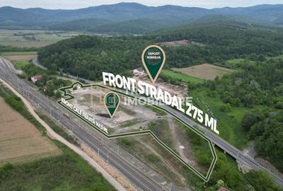 Spațiu industrial, de 117 mp, în Milova - 3