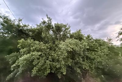 Teren Construcții intravilan de 4200 mp, în Adunații-Copăceni - 12