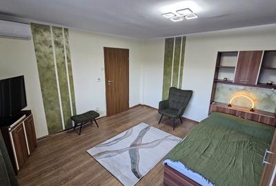 Garsonieră decomandată în Cetate - 2
