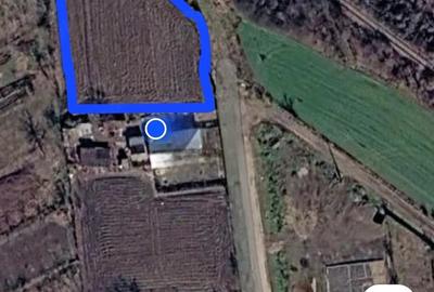 Teren de 1200 mp, în Zănoaga