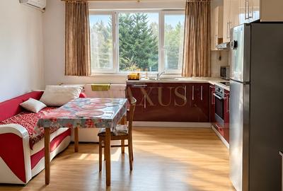 Apartament cu 2 camere semidecomandat, mobilat în Florești