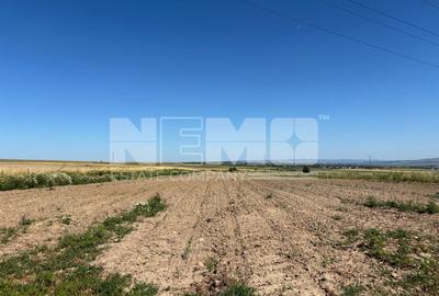 Teren agricol intravilan de 1300 mp, în Burdujeni - 1