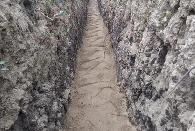 Teren de 6500 mp, în Petrești - 9