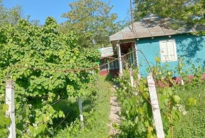 Casă cu 4 camere în Rediu - 4
