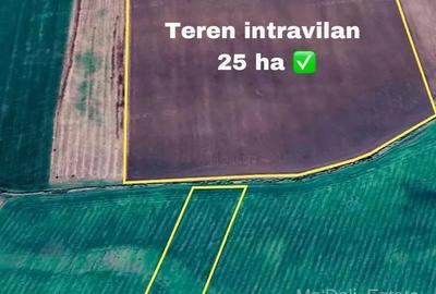 Teren în Vladimirescu - 1