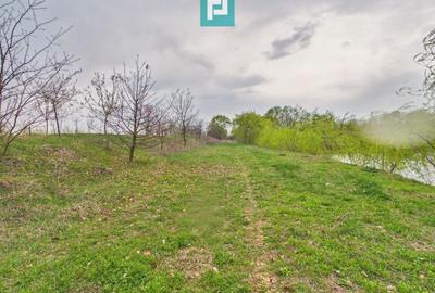Teren agricol extravilan de 10000 mp, în Alioș - 5