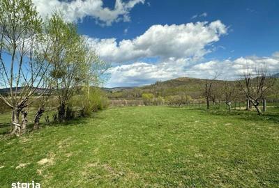 Teren de 4000 mp, în Central - 6