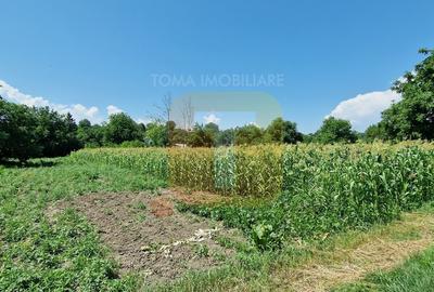 Teren Construcții intravilan de 4133 mp, în Girov - 2