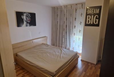 Apartament cu 2 camere decomandat în Sânandrei - 11