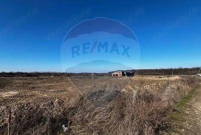Teren de 600 mp, în Sânmartin