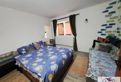Casă individuală cu 2 camere cu Teren 19549 Mp în Vințu de Jos - 5