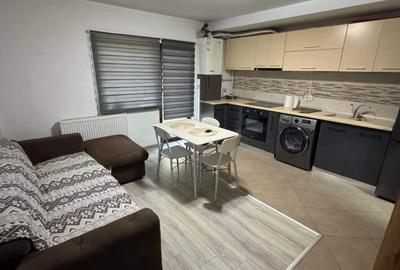 Apartament cu 2 camere nedecomandat în Valea Lupului - 2