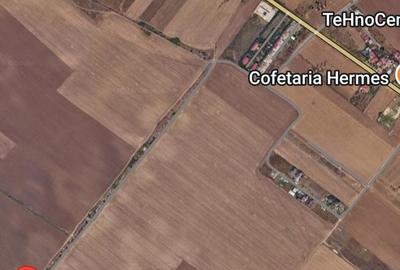 Teren de 518 mp, în Frumușani - 3
