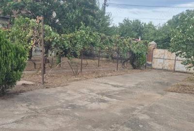 Casă cu 3 camere în Sculia - 5