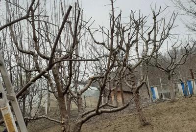 Casă cu Teren 5000 Mp în Bughea de Jos - 2