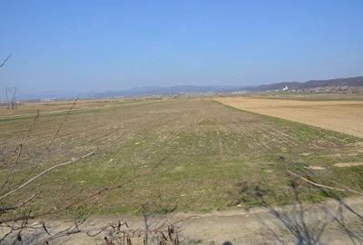 Teren de 45000 mp, în Budești