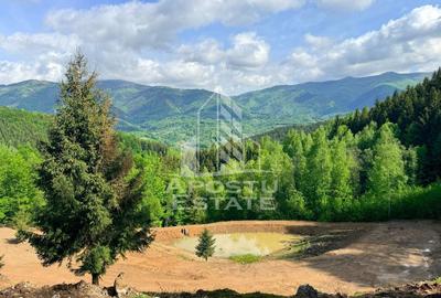 Teren Construcții extravilan de 18000 mp, în Exterior Sud - 1