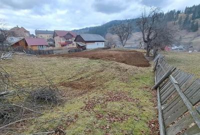 Teren Construcții intravilan de 1200 mp, în Sadova