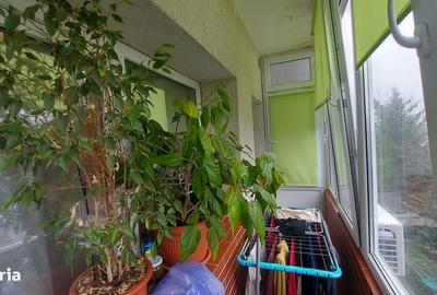 Garsonieră în Jilava - 9