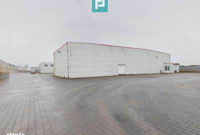 Spațiu comercial, de 3,835 mp, în Borș - 18