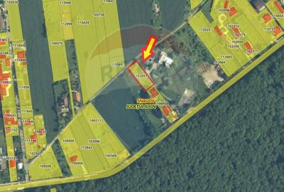 Teren Construcții intravilan de 872.42999267578 mp, în Snagov - 2