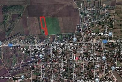 Teren de 10000 mp, în Cazasu - 1