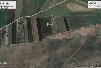 Teren agricol intravilan de 43100 mp, în Stupini - 5
