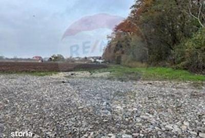 Teren de 1100 mp, în Snagov - 3