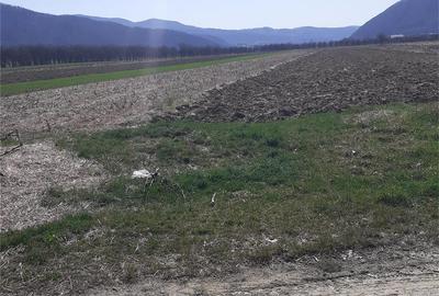 Teren de 2000 mp, în Jiblea Nouă - 4