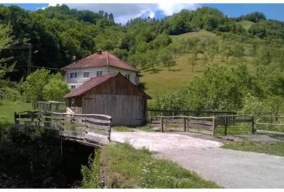 Casă cu 5 camere cu Teren 70000 Mp în Blăjeni