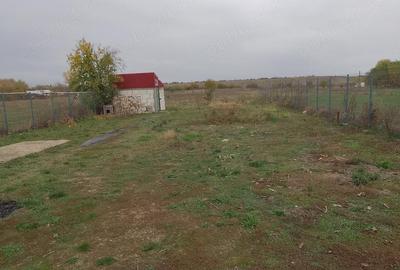 Casă cu 7 camere cu Teren 1000 Mp în Vânătorii Mici - 6