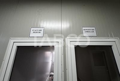 Spațiu industrial, de 490 mp, în Cristian - 11