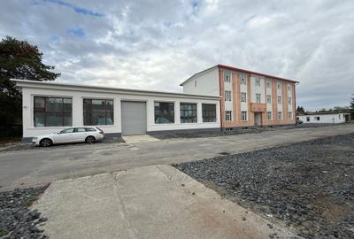 Spațiu industrial, de 10,321 mp, în Mârșa - 7