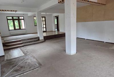 Casă cu 4 camere decomandat cu Teren 1318 Mp în Bucium - 5