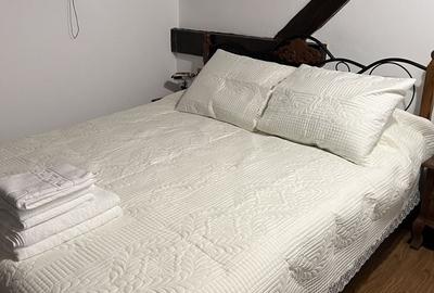 Apartament cu 3 camere decomandat în Centrul Istoric - 3