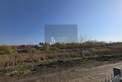 Teren în Pasărea