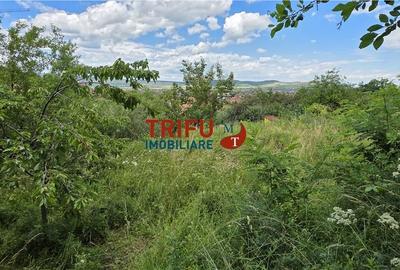Teren de 1716 mp, în Cetate