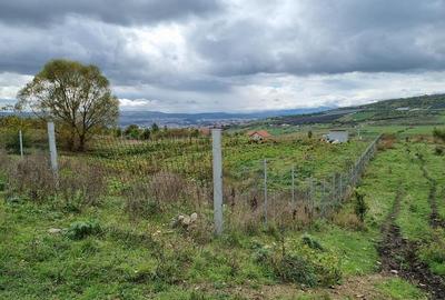 Teren extravilan de 11289 mp, în Iris