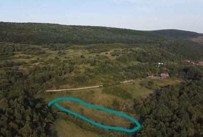 Teren de 5000 mp, în Micești - 2