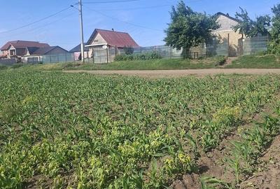Teren de 6500 mp, în Popești - 1
